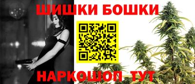 Альфа ПВП Моздок