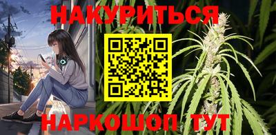 Альфа ПВП Моздок
