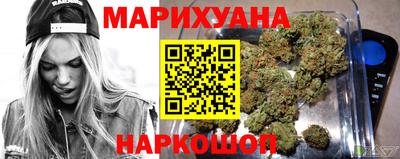 Альфа ПВП Моздок
