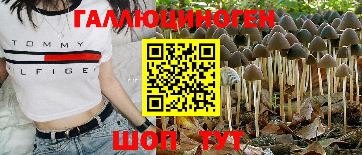 Псилоцибиновые грибы Psilocybine cubensis  Вход с VPN  Богородск 