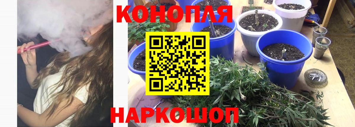 Богородск  Марихуана план  Вход с VPN  Канабис Amnesia 